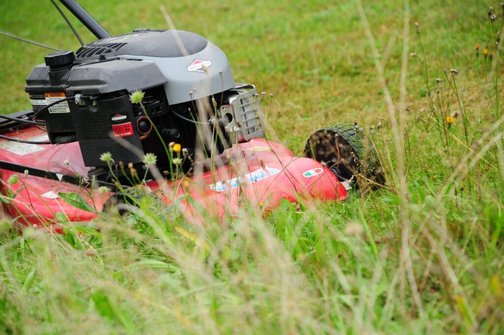 lawn mower, grass mulch, lawn