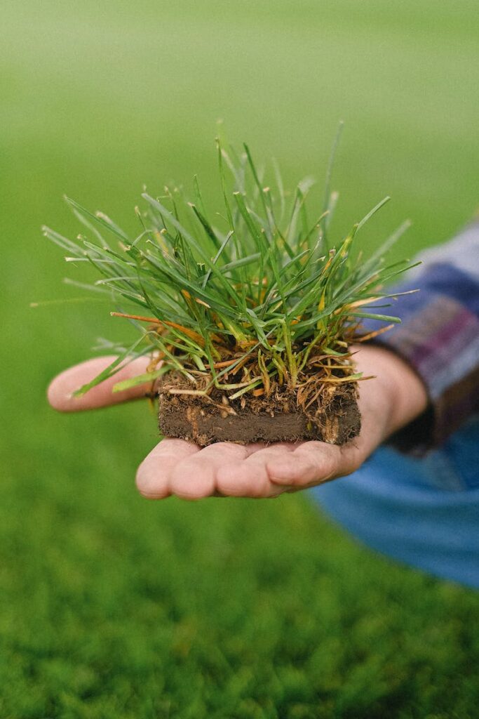 Crop gardener with topsoil on hand