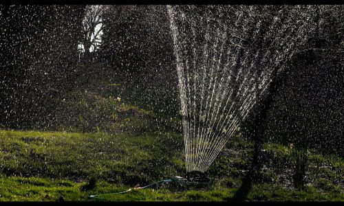 Watering the Lawn