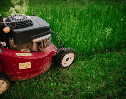 Mowing grass with a professional mower