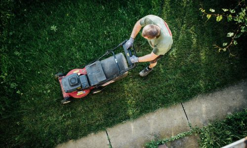A professional gardener mowing a lawn and arranging a garden