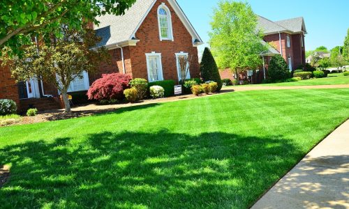 lawn care, lawn maintenance, lawn services