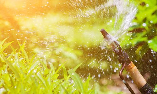 Sprinkler watering the plants in the park.