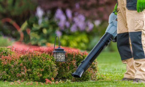 Professional Gardener with Leaf Blower in His Hand Cleaning Residential Backyard Garden. Gardening and Landscaping Industry Theme.