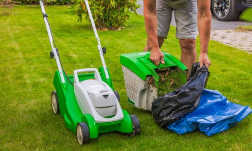 Close-up view of man working with electric lawn mower. Season garden working concept.