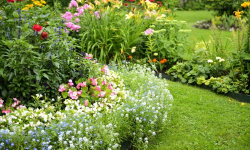 Beautiful flower beds on the lawn