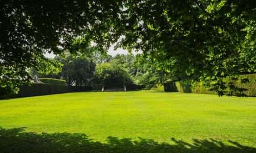 a lawn in sunshine in an English garden on a sunny day in summer