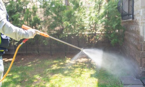 Pest Control Man Spraying Pesticide In Garden