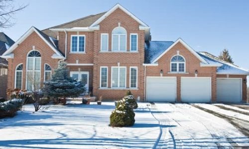 Lawn in Winter