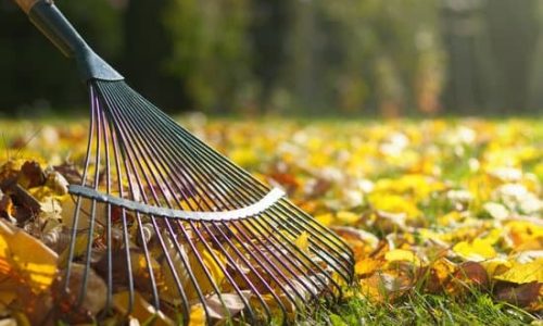 Leaf Rake