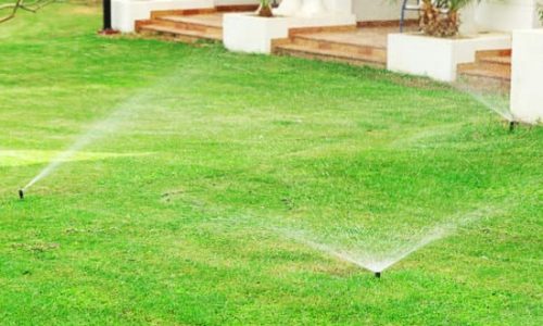 Sprinkler in garden watering the lawn. Automatic watering lawns concept.