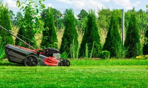 Mowing Your Lawn in Winter