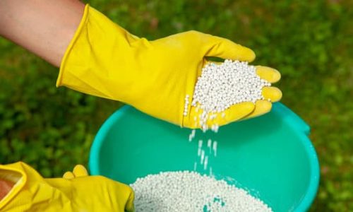 Fertilizing plants, lawns, trees and flowers. Gardener in gloves holds white fertilizer balls on background of green grass