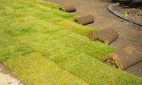 Installation of sod on private property front yard