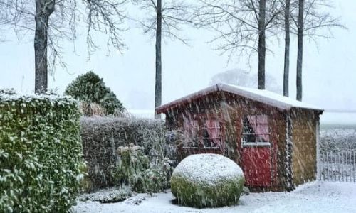 Soil Moisture Winter Lawn