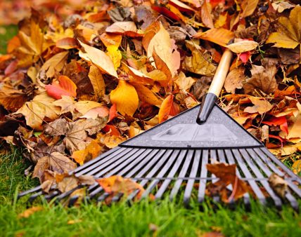 Pile,Of,Fall,Leaves,With,Fan,Rake,On,Lawn