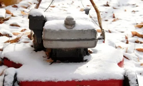 Your Lawn in Winter