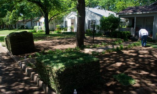Sod install