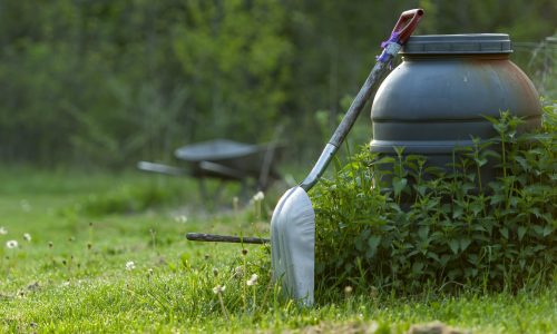 A closeup shot of a shovel in the garden with trees on the background