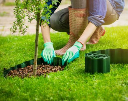 woman install plastic lawn edging around the tree in garden