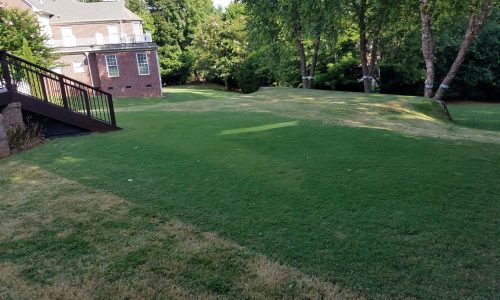 scalping lawn