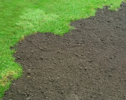 soil lawn