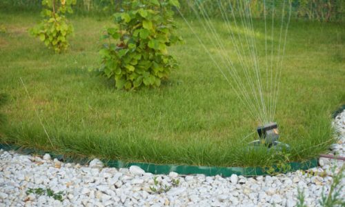 A bright garden lawn is watered with a sprinkler.