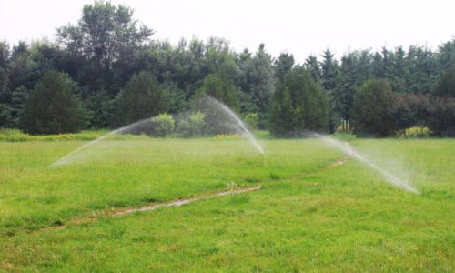 the Water spray in great meadow with water sprinkler.