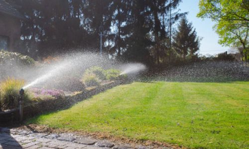 Automated underground sprinklers in front yard of a lovely house, in the summer